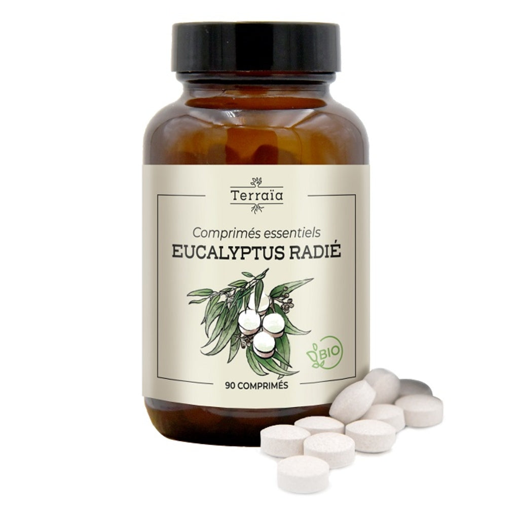 Huile essentielle d'Eucalyptus Radié Bio en comprimés - Terraïa