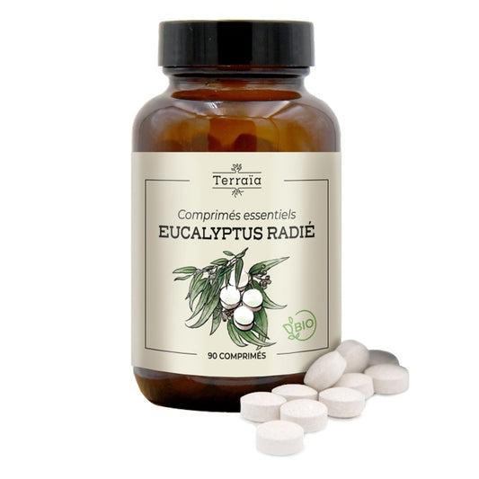 Huile essentielle d'Eucalyptus Radié Bio en comprimés - Terraïa