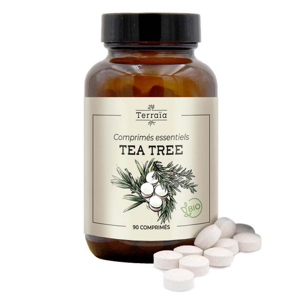 Huile essentielle de Tea tree Bio en comprimés - Terraïa