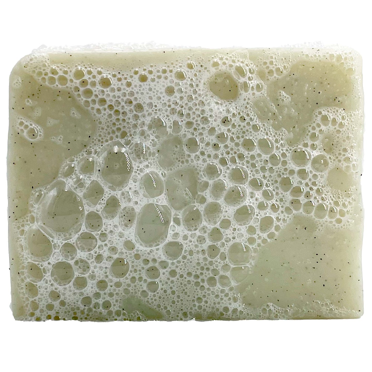 Savon solide Bio Hollywood Mint - Sapiens