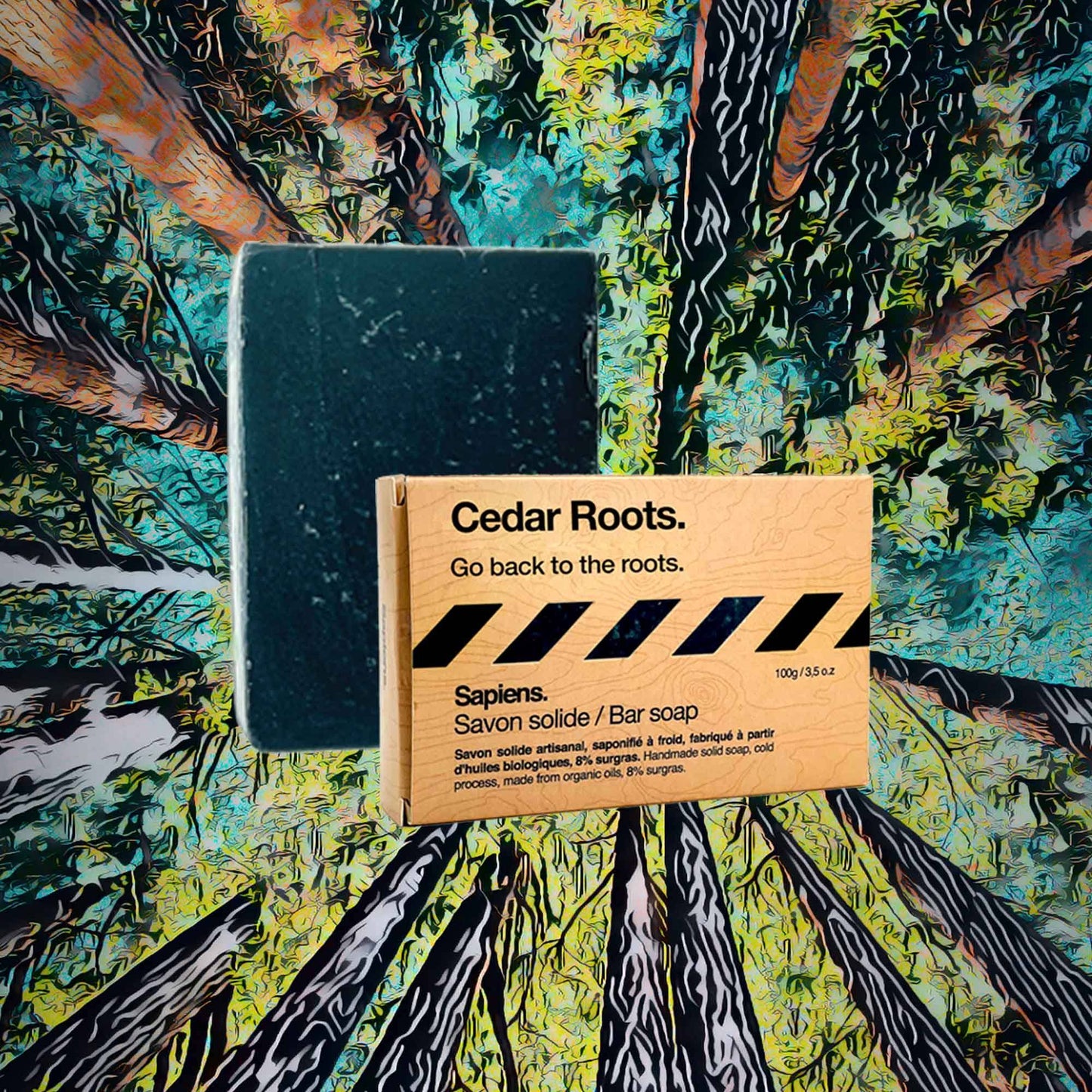 Savon solide Bio Cedar Roots - Sapiens